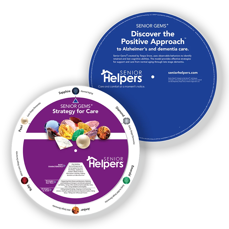 Senior Gems® Strategy for Care Wheel