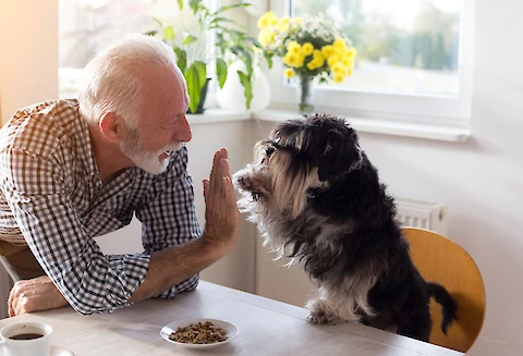 What Are the Benefits of Seniors Owning Pets in Tucson?