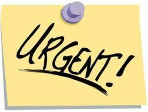 The Urgency of Looking