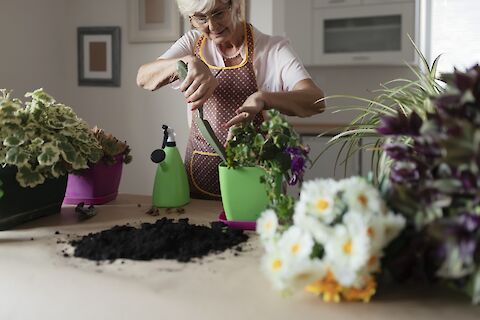 Five Fun Activities To Do With Seniors During Quarantine
