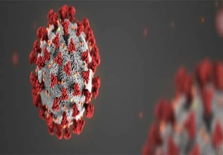 SPOTLIGHT: Information on COVID-19