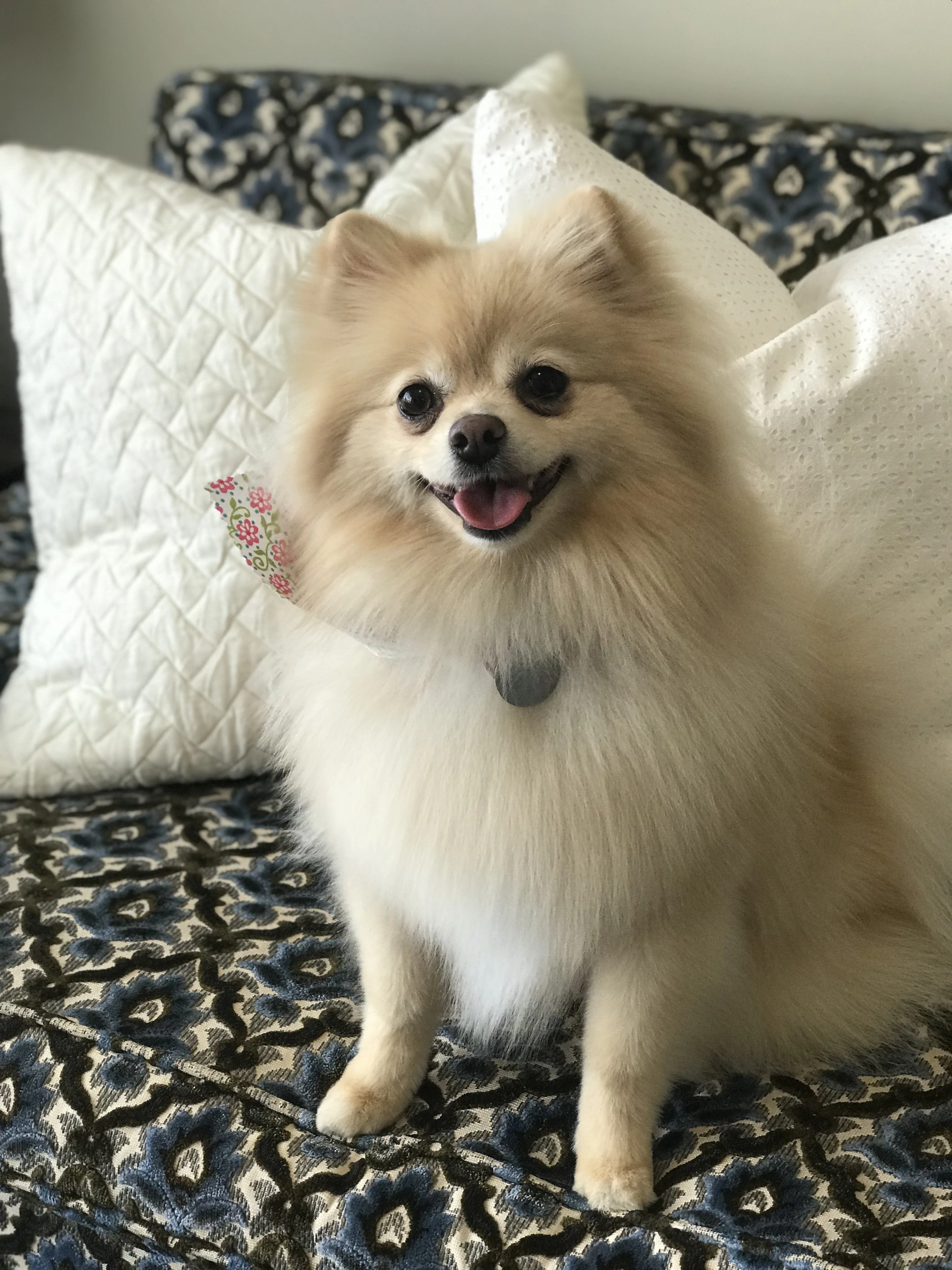 Eloise