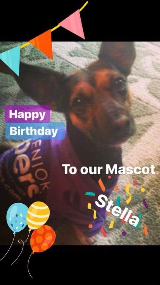 Senior Helpers Appleton celebrates our mascot’s birthday at our Appleton, WI office. 