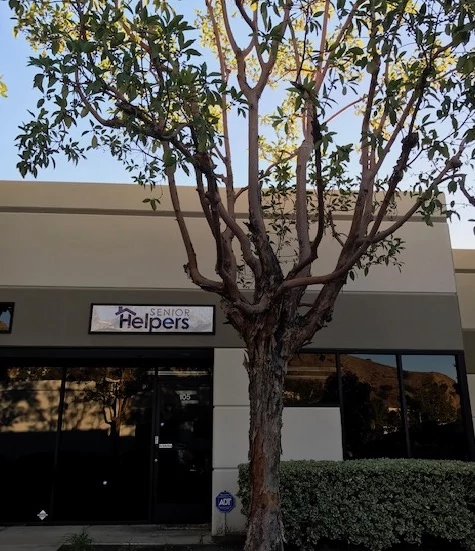 About the office